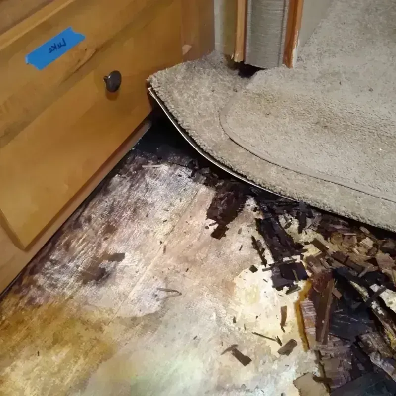 Wood Floor Water Damage in Algonac, MI